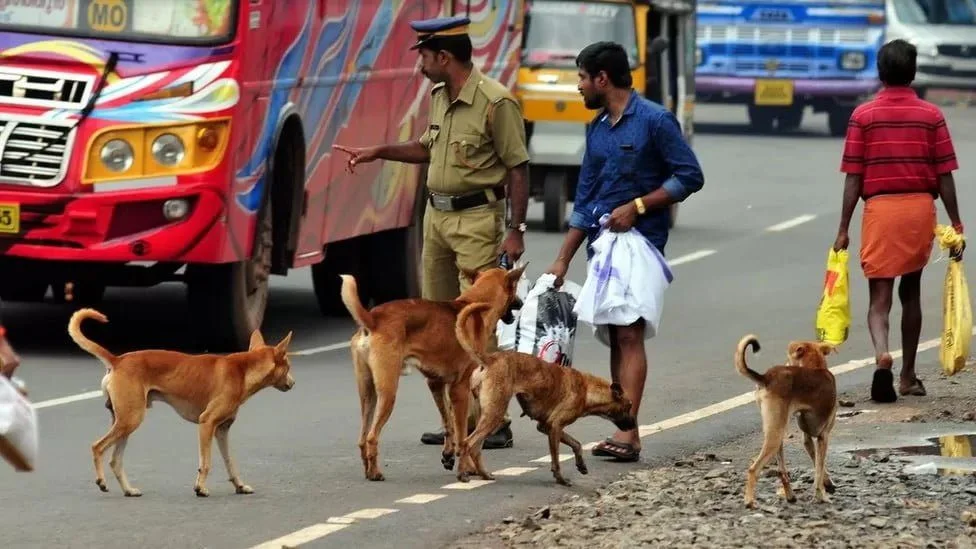 Dog Attack in Kerala