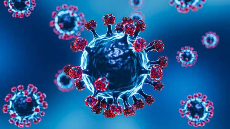 Omicron variants HV.1, JN.1, and EG.5