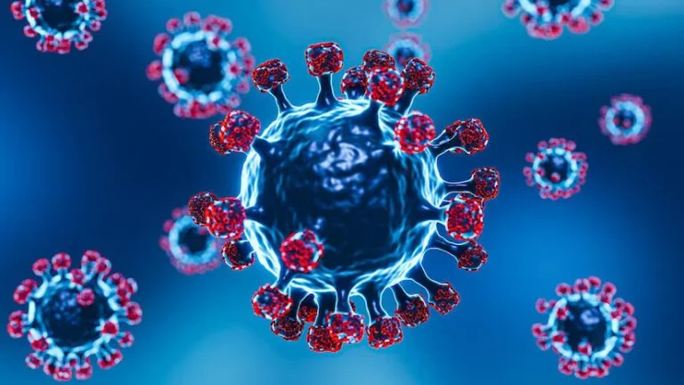 Omicron variants HV.1, JN.1, and EG.5